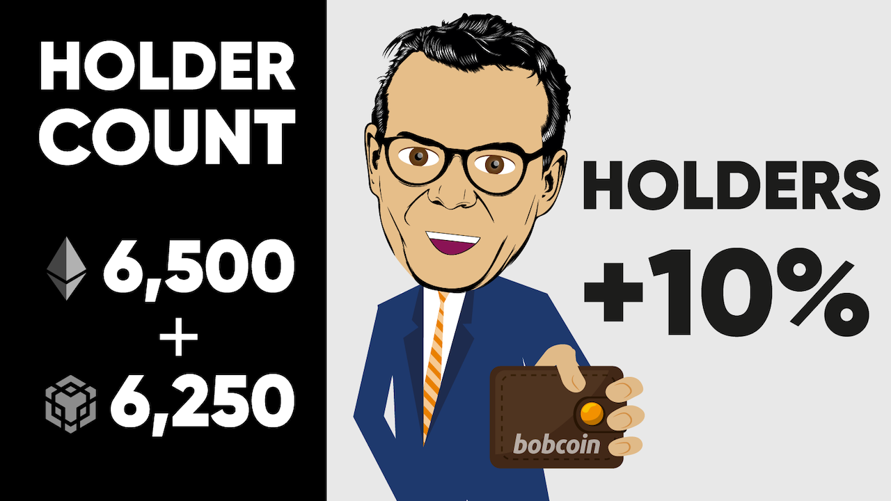 Bobcoin (BOBC) distribution and holder update.
